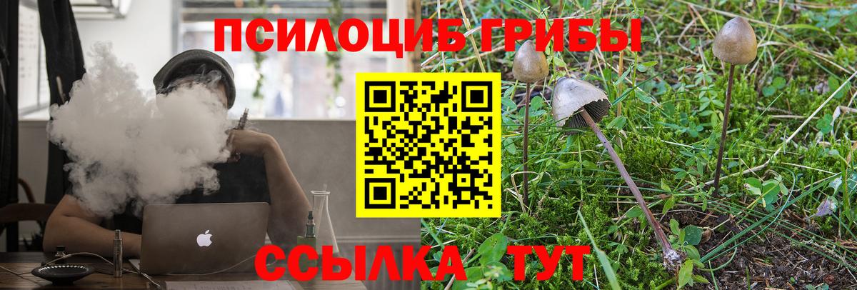 Артёмовский  Псилоцибиновые грибы Psilocybine cubensis  дарнет шоп  Псилоцибиновые грибы ЛСД  Вход с VPN 